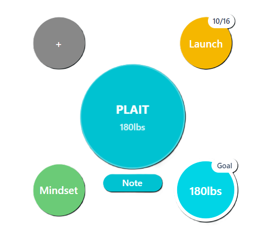 PLAIT Framework Visualization